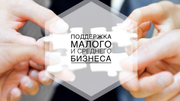 Об исполнении бюджета Фонда содействия льготному кредитованию МСП за 2022 год